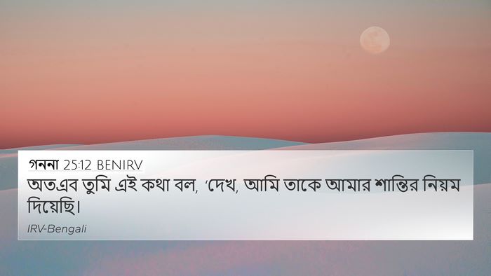 গননা 25:12 BENIRV 4K Wallpaper - অতএব তুমি এই কথা - 4K Wallpaper Bible Verse
