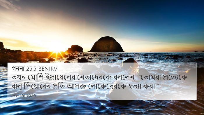 গননা 25:5 BENIRV Bible Verse Image