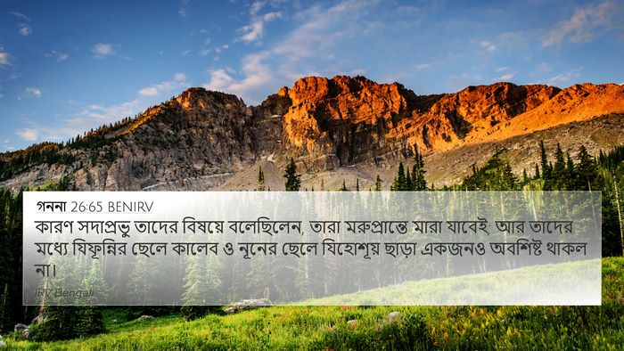 গননা 26:65 BENIRV Bible Verse Image