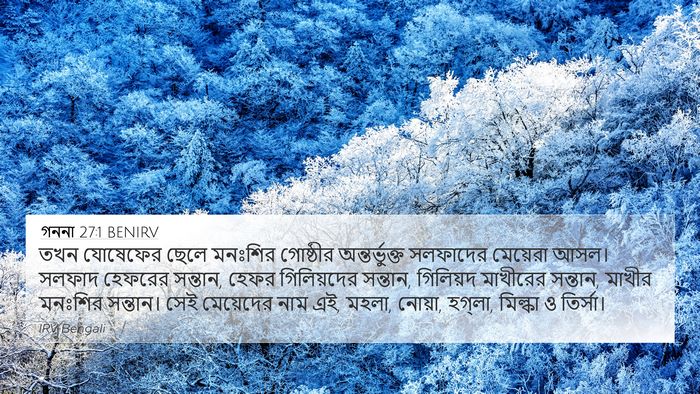গননা 27:1 BENIRV Bible Verse Image