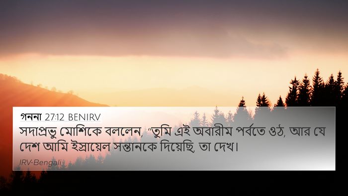 গননা 27:12 BENIRV Bible Verse Image