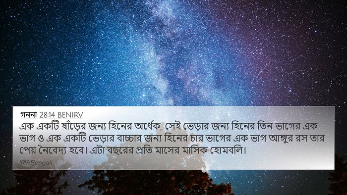 গননা 28:14 BENIRV Bible Verse Image