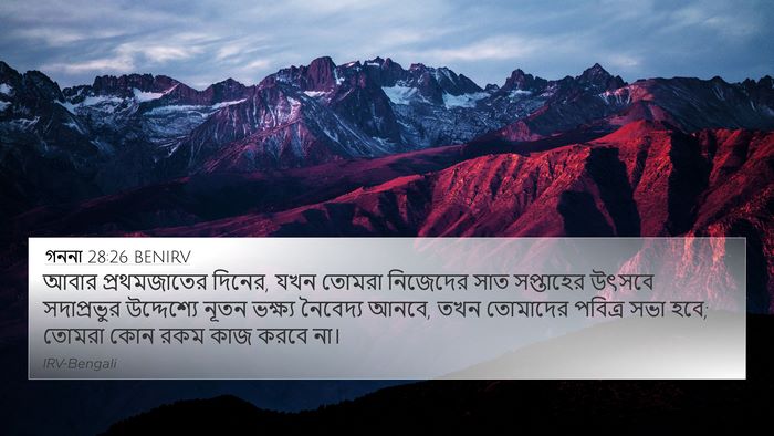 গননা 28:26 BENIRV 4K Wallpaper - আবার প্রথমজাতের - 4K Wallpaper Bible Verse
