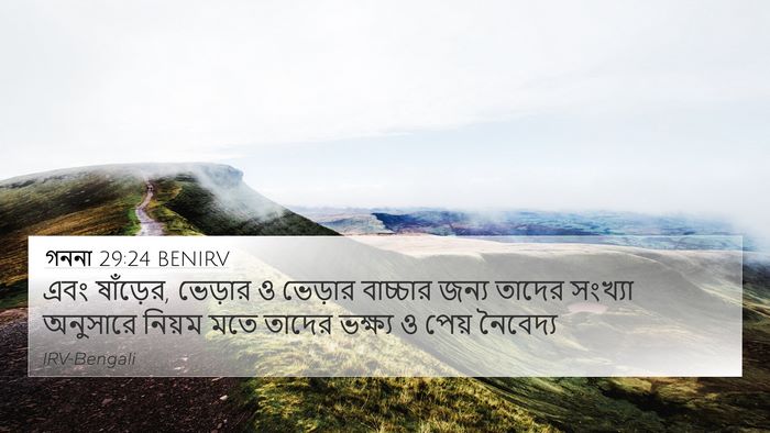 গননা 29:24 BENIRV 4K Wallpaper - এবং ষাঁড়ের, - 4K Wallpaper Bible Verse