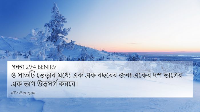 গননা 29:4 BENIRV 4K Wallpaper - ও সাতটি ভেড়ার - 4K Wallpaper Bible Verse