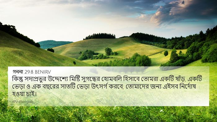 গননা 29:8 BENIRV Bible Verse Image
