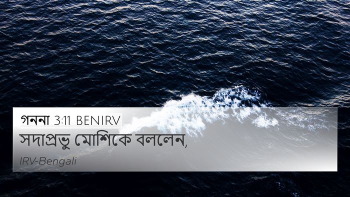 গননা 3:11 BENIRV 4K Wallpaper - সদাপ্রভু মোশিকে - 4K Wallpaper Bible Verse