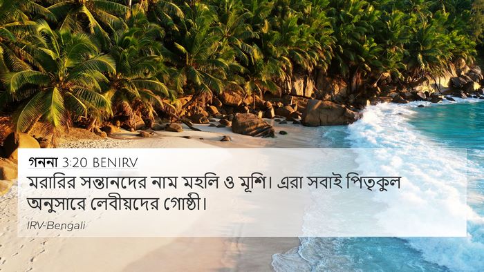 গননা 3:20 BENIRV Bible Verse Image