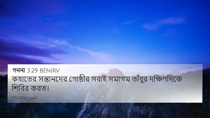 গননা 3:29 BENIRV Bible Verse Image
