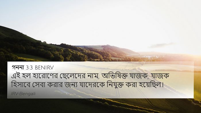 গননা 3:3 BENIRV 4K Wallpaper - এই হল হারোণের - 4K Wallpaper Bible Verse