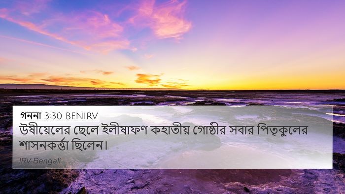 গননা 3:30 BENIRV Bible Verse Image