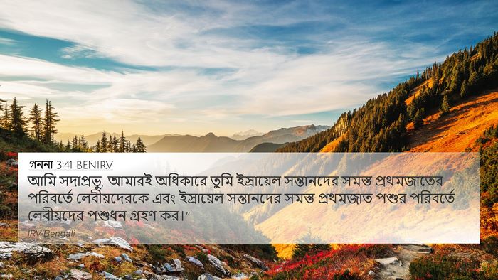 গননা 3:41 BENIRV Bible Verse Image