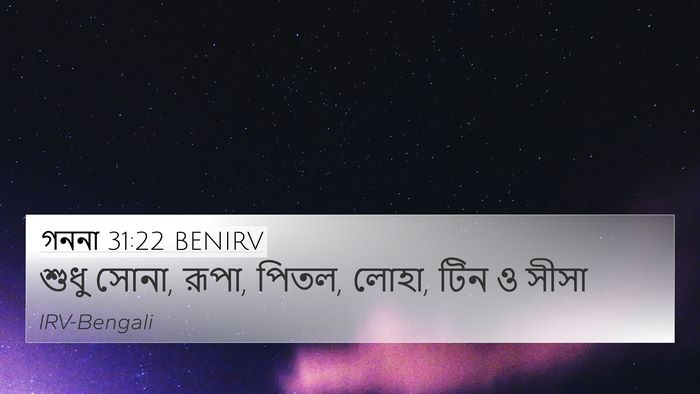 গননা 31:22 BENIRV Bible Verse Image