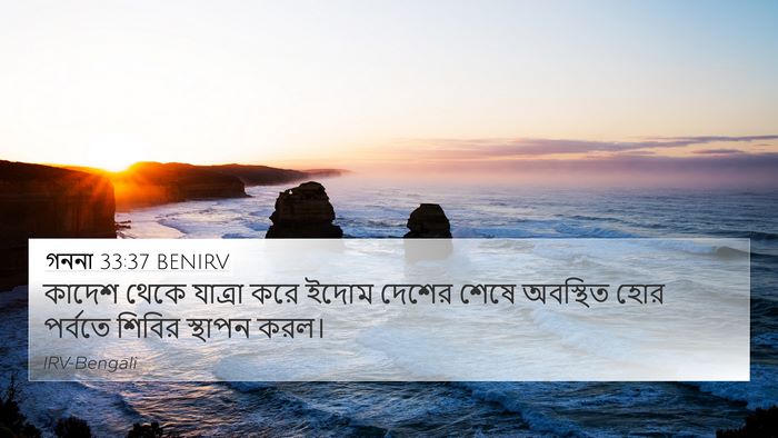 গননা 33:37 BENIRV Bible Verse Image