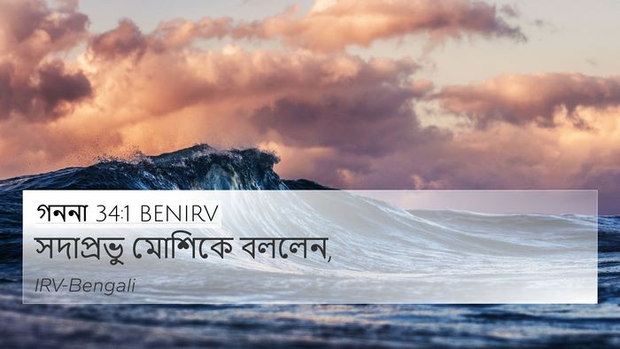 গননা 34:1 BENIRV Bible Verse Image