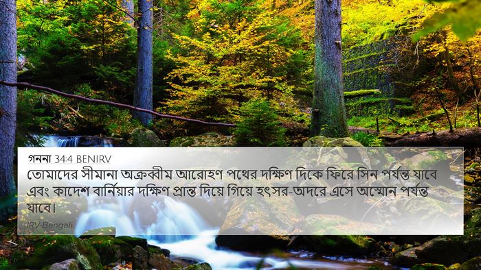 গননা 34:4 BENIRV Bible Verse Image