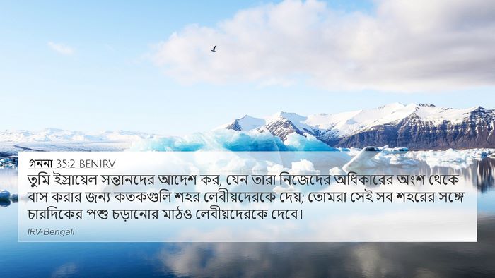 গননা 35:2 BENIRV Bible Verse Image