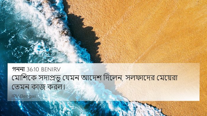 গননা 36:10 BENIRV Bible Verse Image