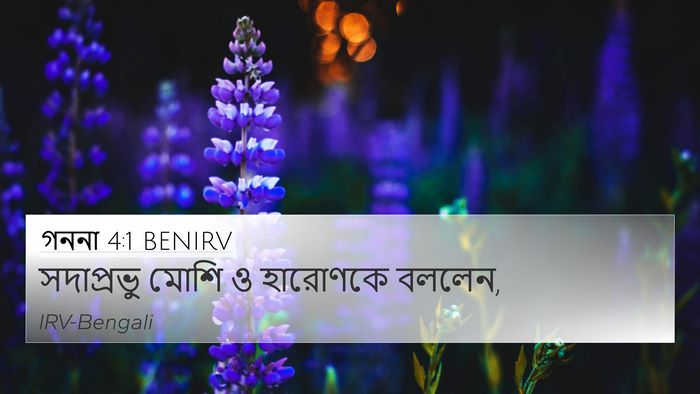 গননা 4:1 BENIRV Bible Verse Image