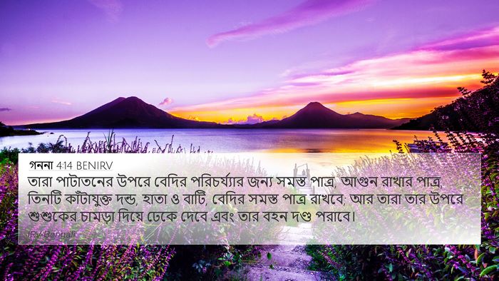 গননা 4:14 BENIRV Bible Verse Image