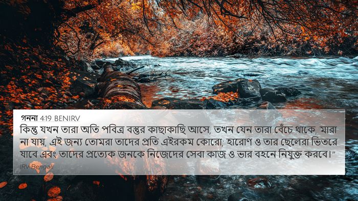 গননা 4:19 BENIRV Bible Verse Image