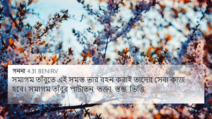 গননা 4:31 BENIRV 4K Wallpaper - সমাগম তাঁবুতে এই - 4K Wallpaper Bible Verse