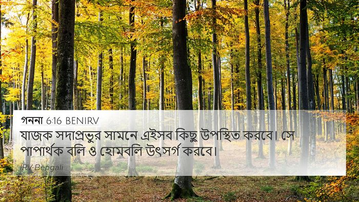 গননা 6:16 BENIRV Bible Verse Image