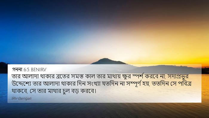 গননা 6:5 BENIRV Bible Verse Image