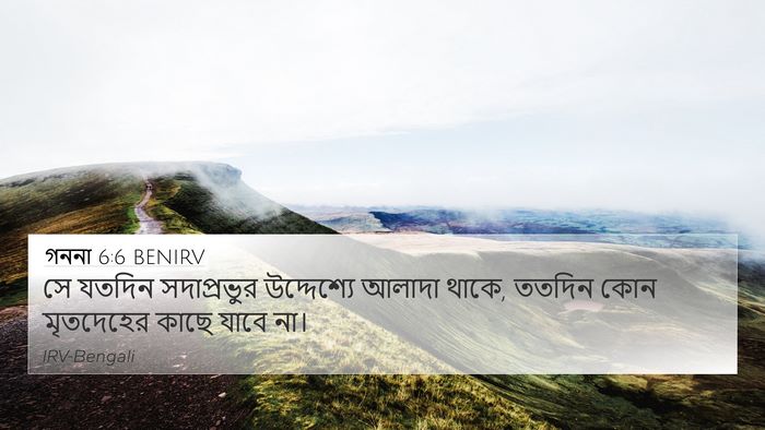 গননা 6:6 BENIRV Bible Verse Image