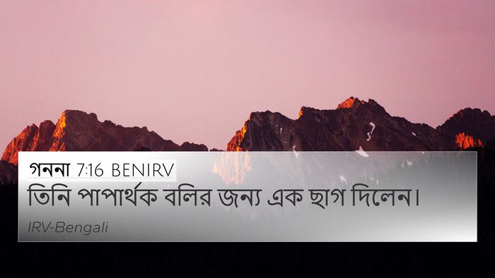 গননা 7:16 BENIRV Bible Verse Image
