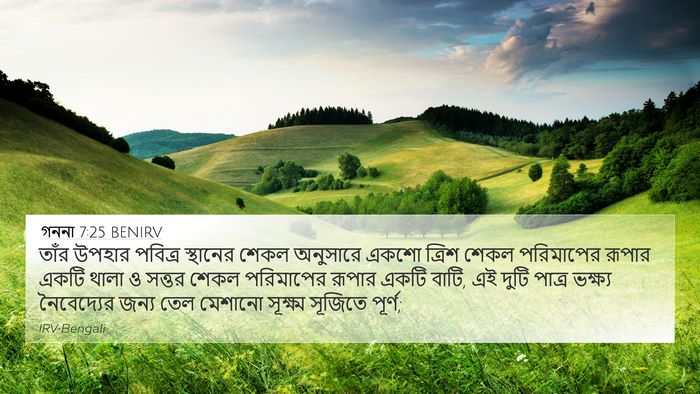 গননা 7:25 BENIRV 4K Wallpaper - তাঁর উপহার পবিত্র - 4K Wallpaper Bible Verse