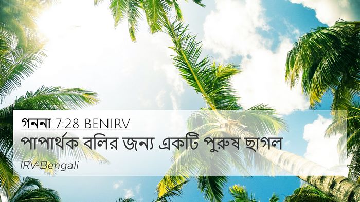 গননা 7:28 BENIRV 4K Wallpaper - পাপার্থক বলির - 4K Wallpaper Bible Verse