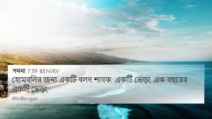গননা 7:39 BENIRV 4K Wallpaper - হোমবলির জন্য একটি - 4K Wallpaper Bible Verse