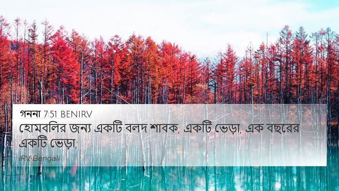 গননা 7:51 BENIRV 4K Wallpaper - হোমবলির জন্য একটি - 4K Wallpaper Bible Verse
