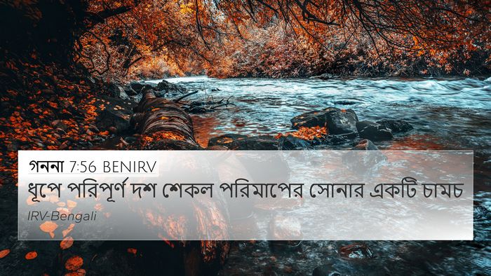 গননা 7:56 BENIRV 4K Wallpaper - ধূপে পরিপূর্ণ দশ - 4K Wallpaper Bible Verse