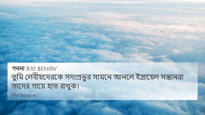 গননা 8:10 BENIRV Bible Verse Image