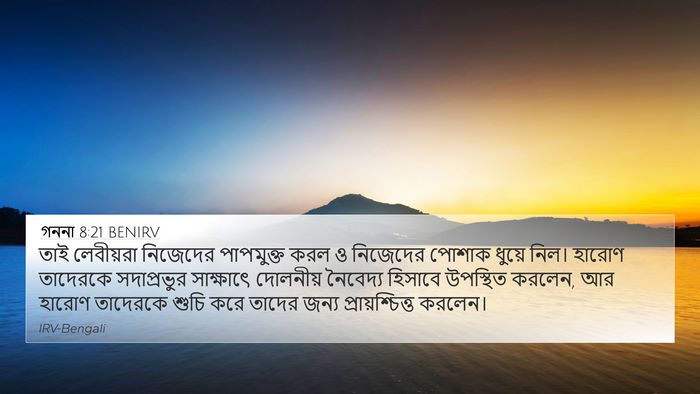 গননা 8:21 BENIRV Bible Verse Image
