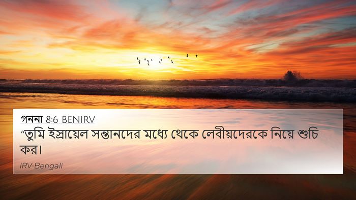 গননা 8:6 BENIRV Bible Verse Image