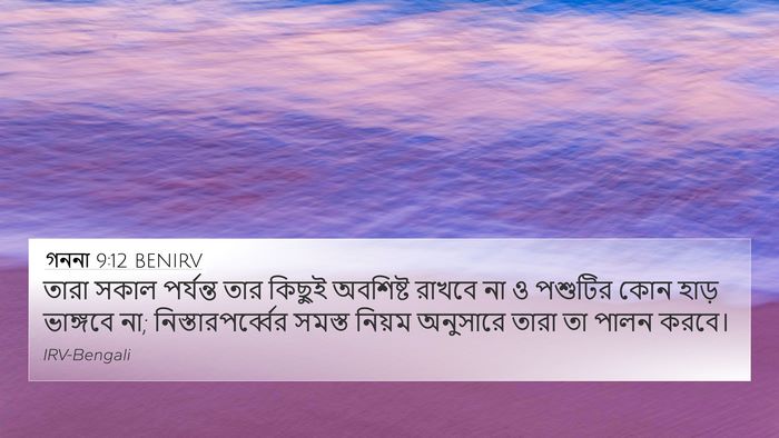 গননা 9:12 BENIRV 4K Wallpaper - তারা সকাল পর্যন্ত - 4K Wallpaper Bible Verse