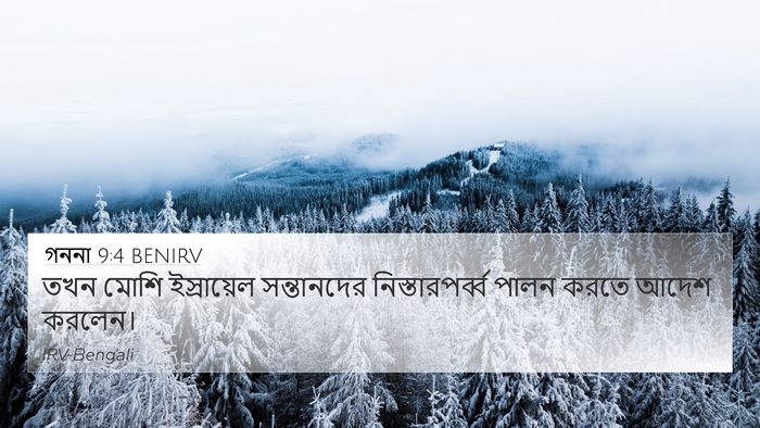 গননা 9:4 BENIRV 4K Wallpaper - তখন মোশি - 4K Wallpaper Bible Verse