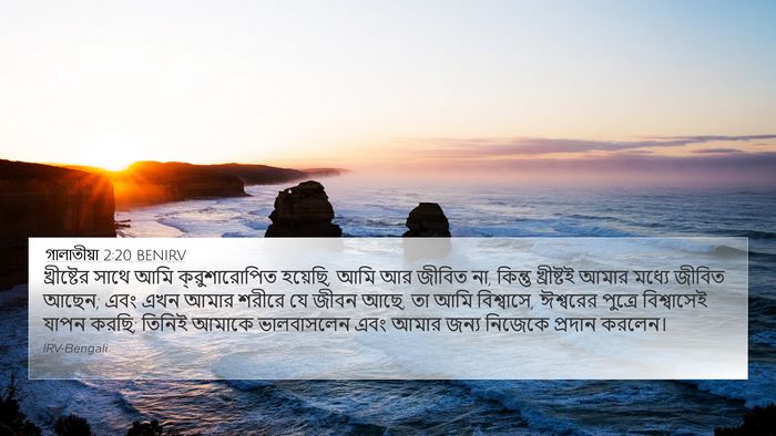 গালাতীয়া 2:20 BENIRV Bible Verse Image