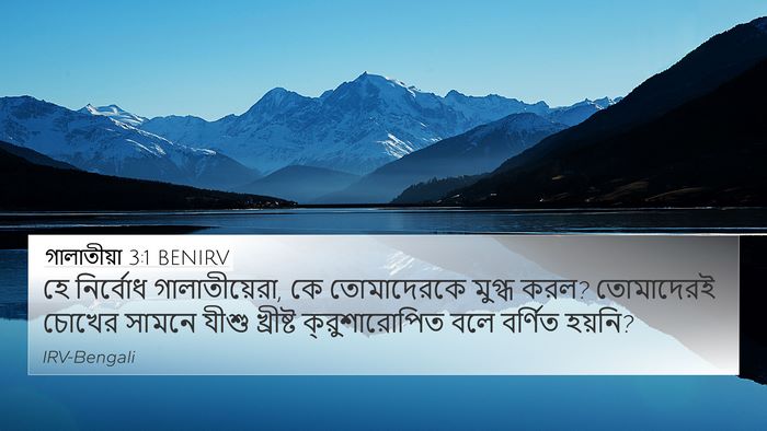 গালাতীয়া 3:1 BENIRV Bible Verse Image