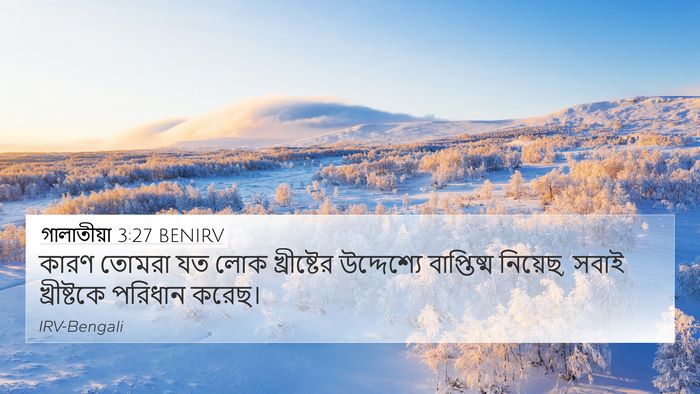 গালাতীয়া 3:27 BENIRV Bible Verse Image