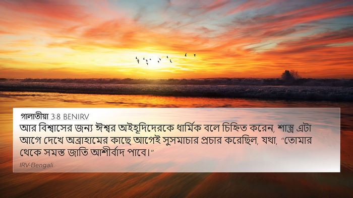 গালাতীয়া 3:8 BENIRV Bible Verse Image