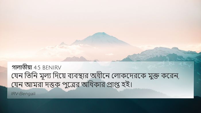 গালাতীয়া 4:5 BENIRV Bible Verse Image