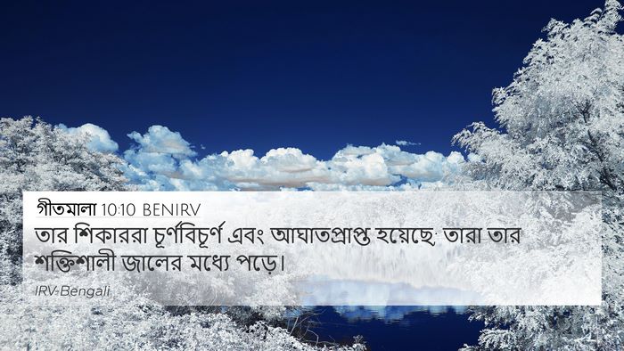 গীতমালা 10:10 BENIRV 4K Wallpaper - তার শিকাররা - 4K Wallpaper Bible Verse