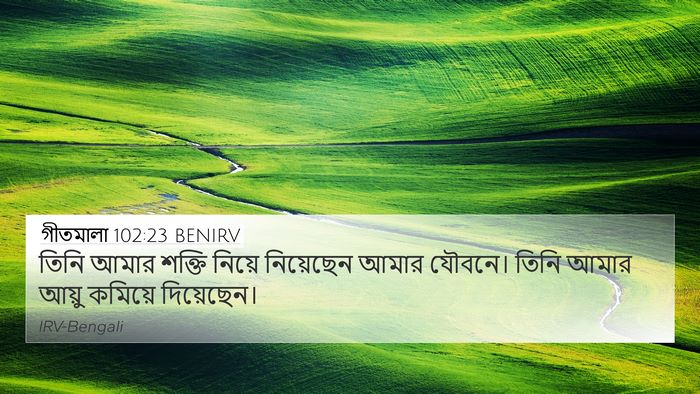 গীতমালা 102:23 BENIRV Bible Verse Image