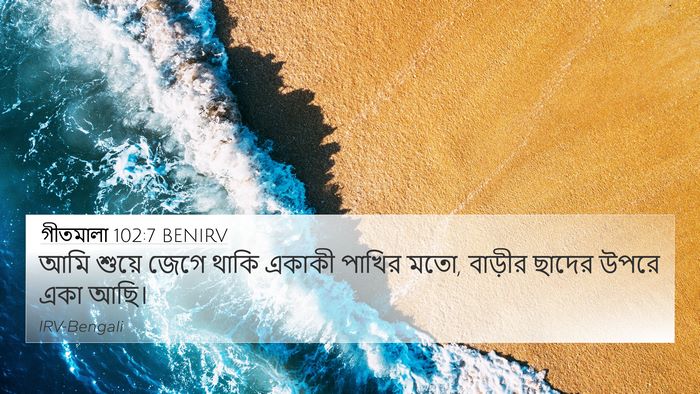 গীতমালা 102:7 BENIRV Bible Verse Image