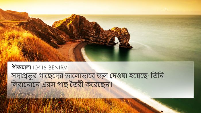 গীতমালা 104:16 BENIRV Bible Verse Image