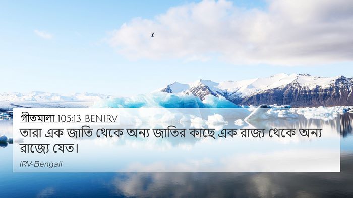 গীতমালা 105:13 BENIRV Bible Verse Image